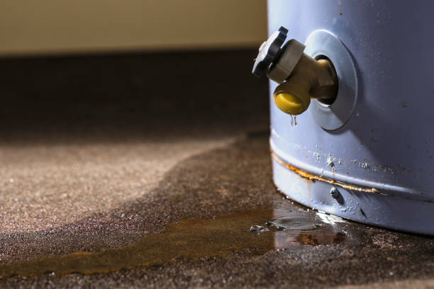 Best Flooded house restoration  in Sherwood Manor, CT