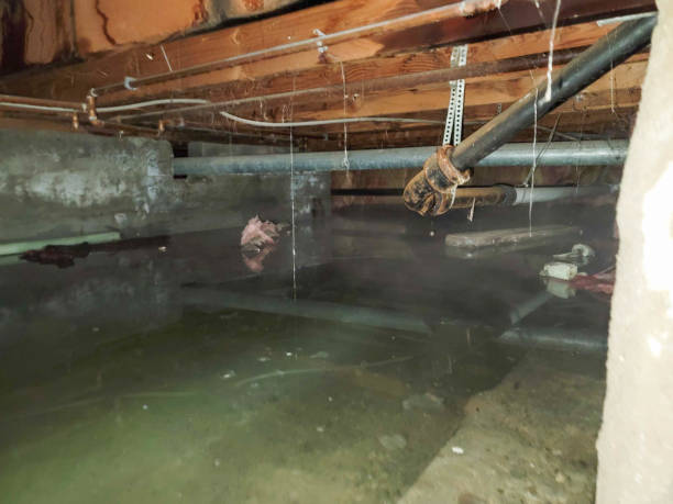 Best Water damage restoration near me  in Sherwood Manor, CT