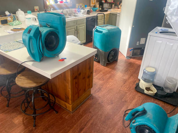 Best 24/7 water damage repair  in Sherwood Manor, CT