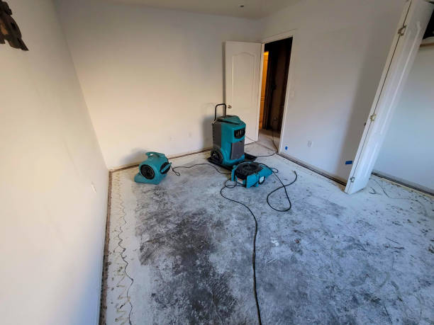 Best Mold removal after water damage  in Sherwood Manor, CT