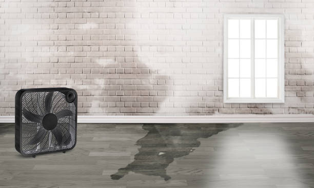 , CT Water damage restoration Company