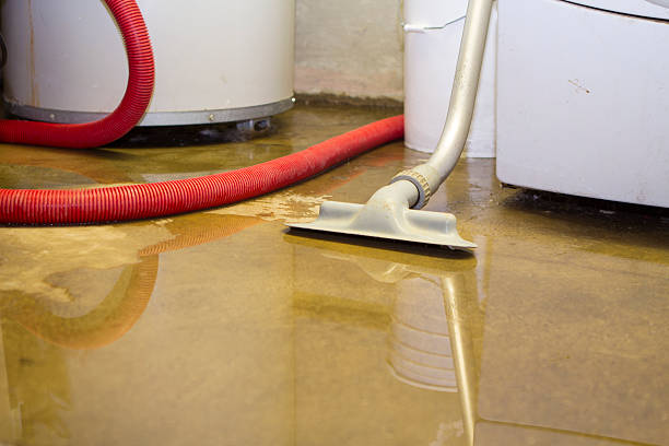 Best Commercial water damage restoration  in Sherwood Manor, CT