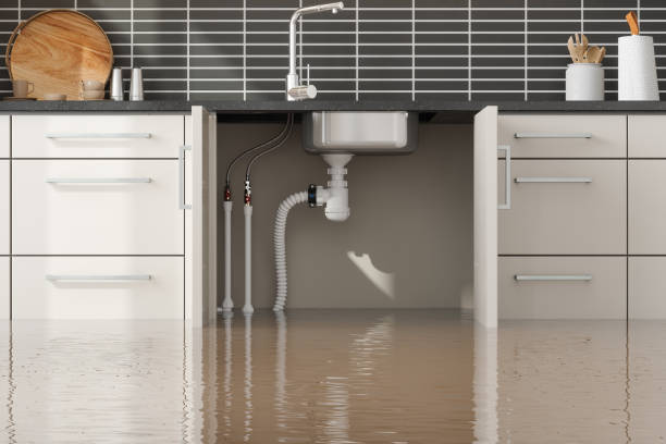 Best Sewage cleanup and water damage restoration  in Sherwood Manor, CT